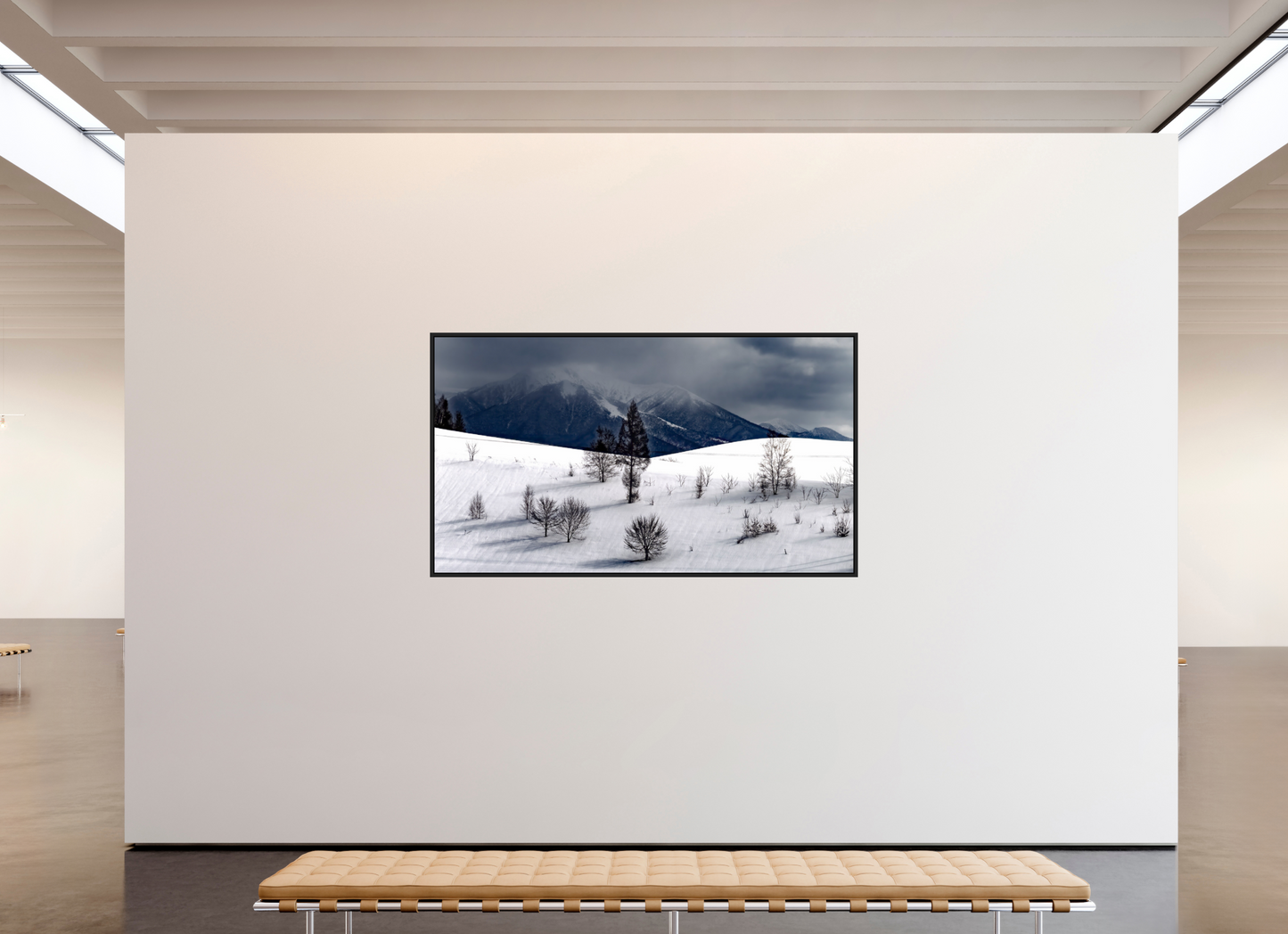 208 x 117 cm, Caisse noir mat 15 mm Paysage à Hokkaido