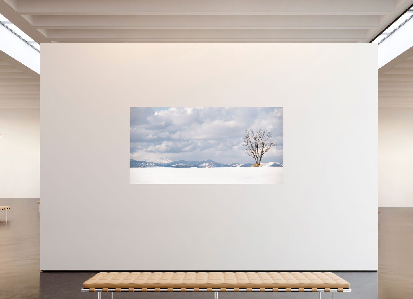 238,8 x 120 cm, Photo Print On Fuji Crystal DP II L'arbre 2