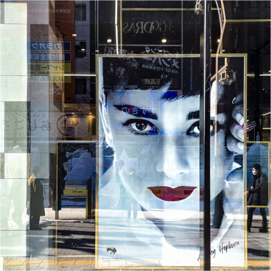 Main image Vitrine à Sapporo