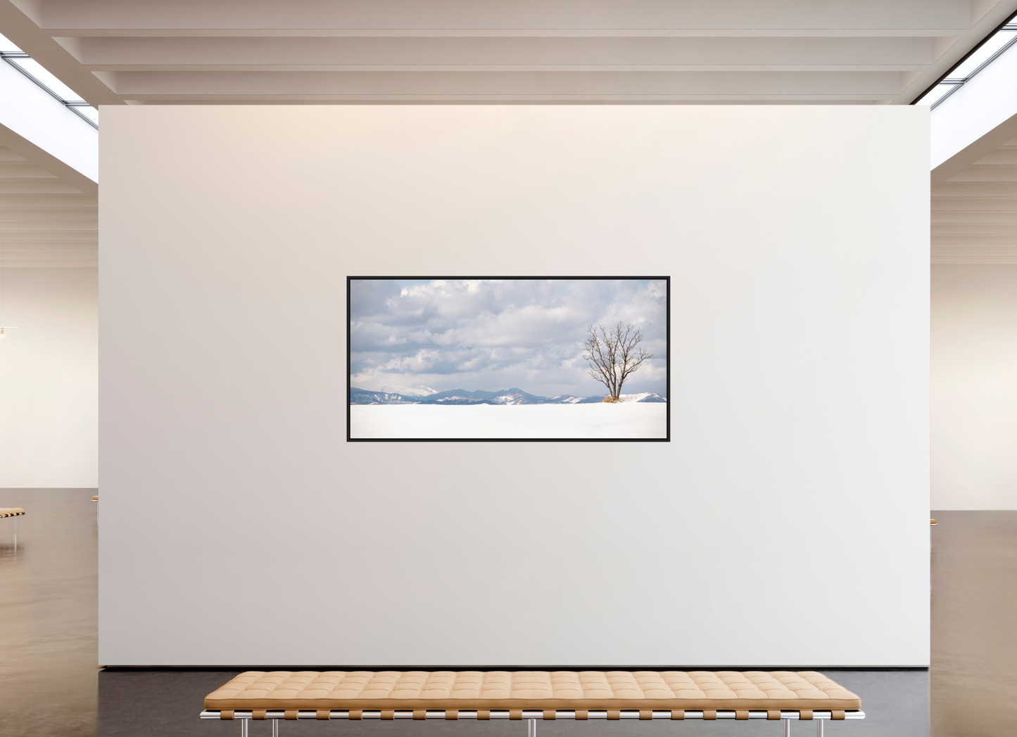 199 x 100 cm, Caisse noir mat 15 mm L'arbre 2