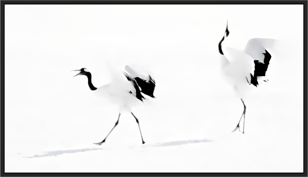 Main image Les grues  - Hokkaido