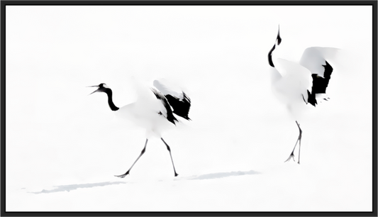 Main image Les grues  - Hokkaido