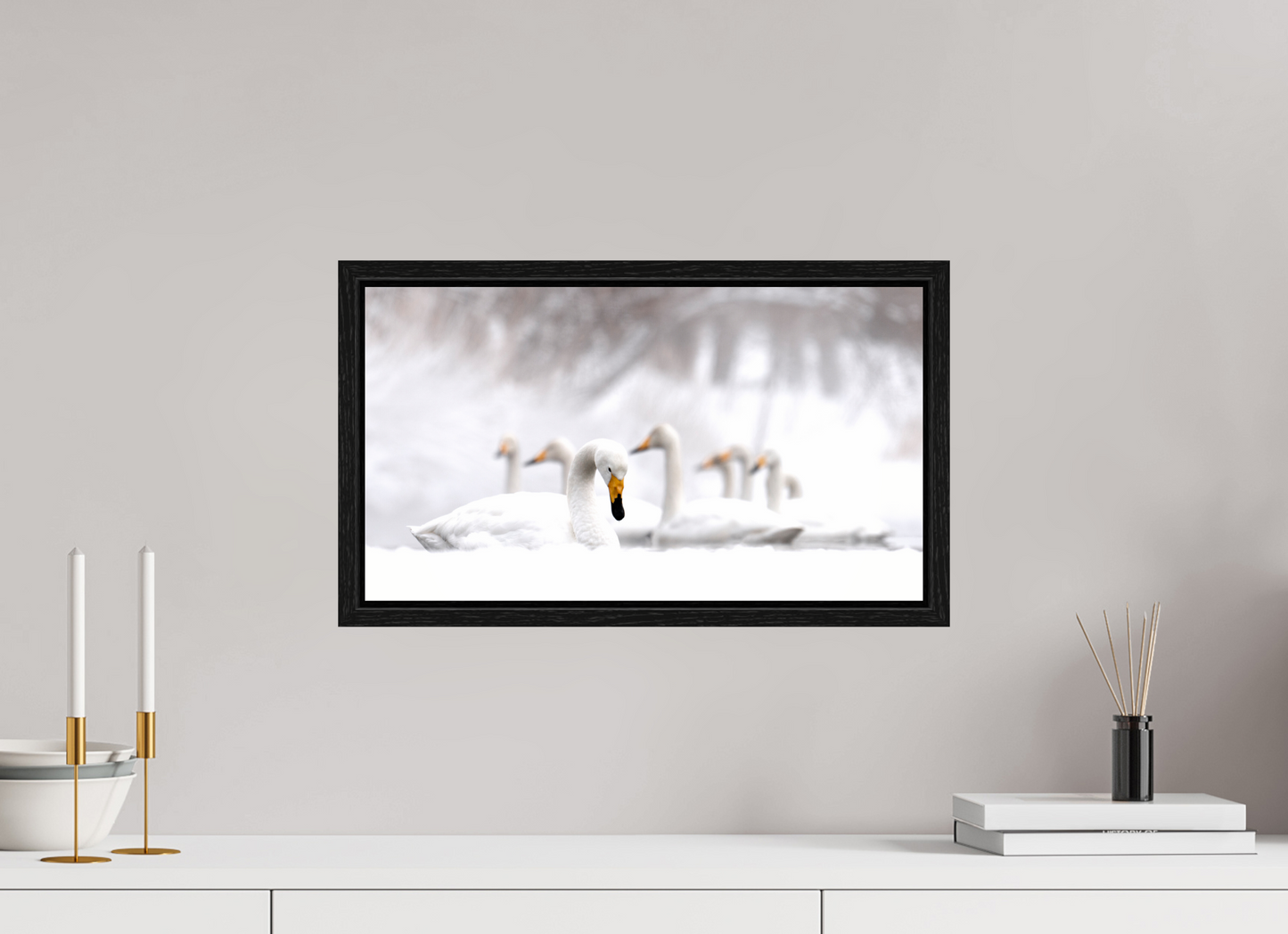 48 x 27 cm, Floater Frame Les Cygnes