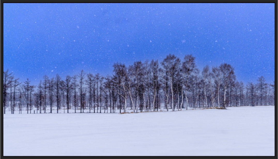 Main image Les arbres à Hokkaido