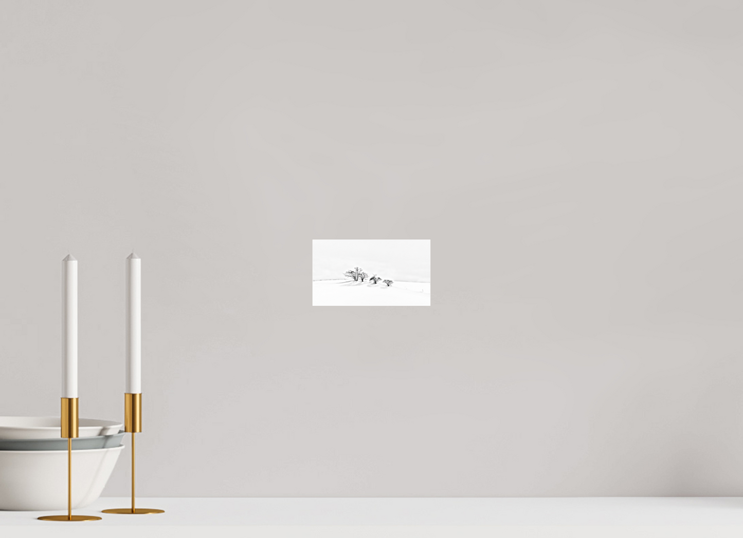 16 x 9 cm, Photo Print Under Acrylic Glass Arbustes