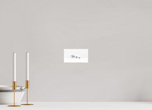 16 x 9 cm, Photo Print Under Acrylic Glass Arbustes
