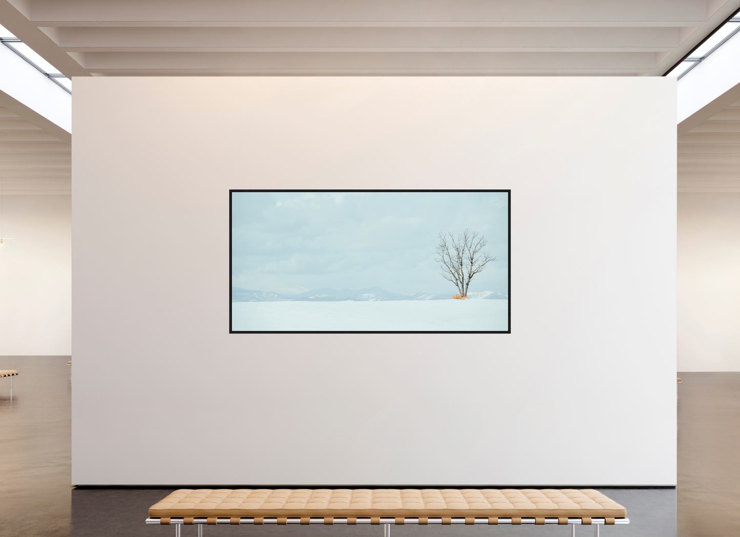 238,8 x 120 cm, Floater Frame l'arbre