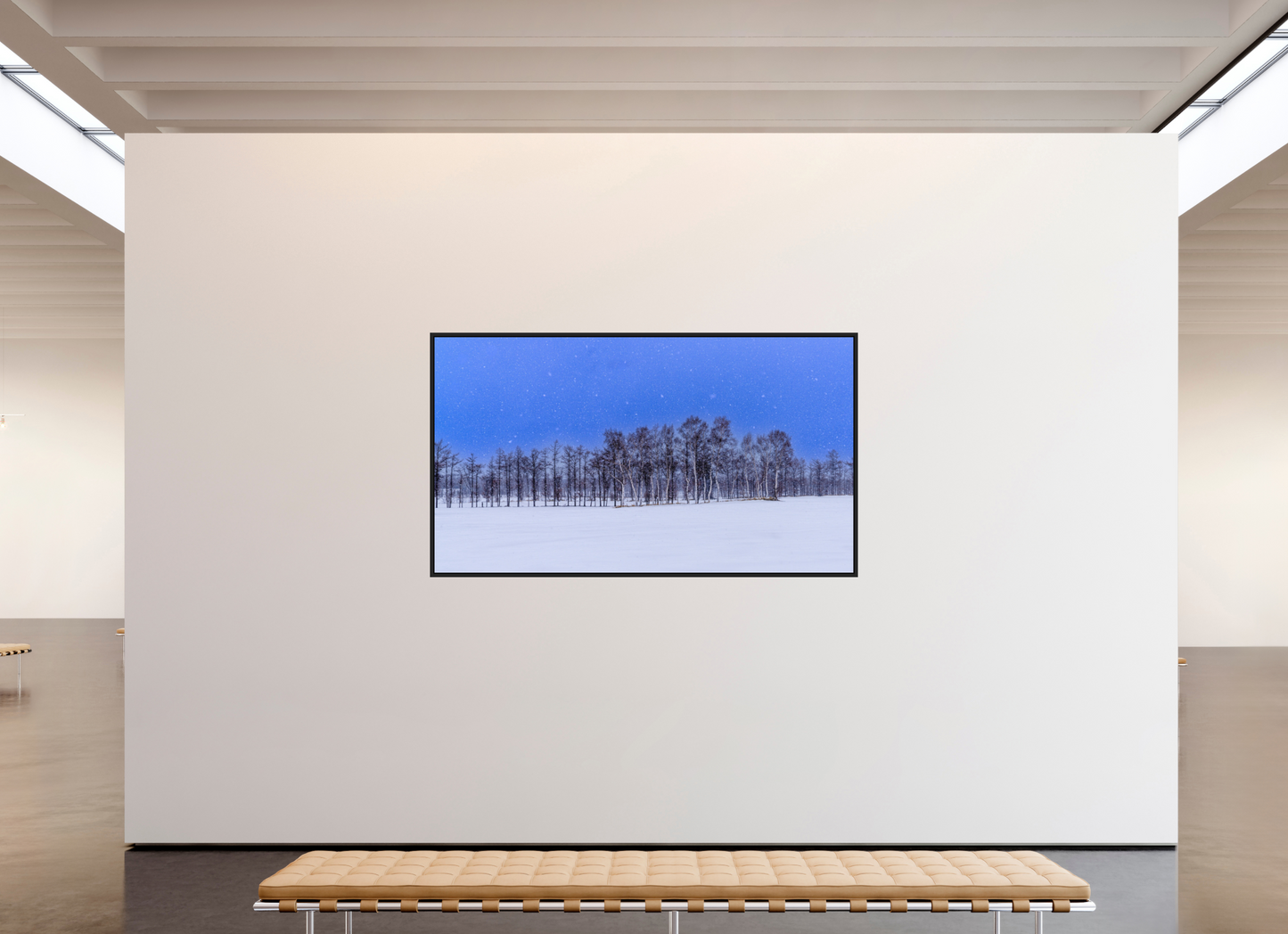 208 x 117 cm, Caisse noir mat 15 mm Les arbres à Hokkaido