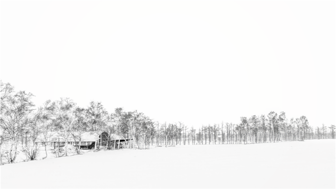 Main image La neige