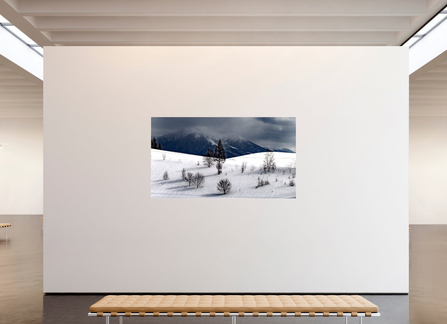 208 x 117 cm, Photo Print Under Acrylic Glass Paysage à Hokkaido