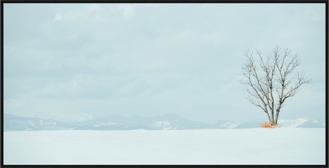 Main image l'arbre