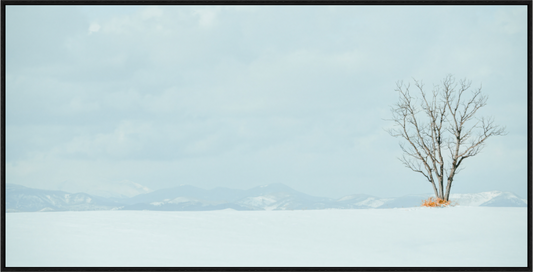 Main image l'arbre