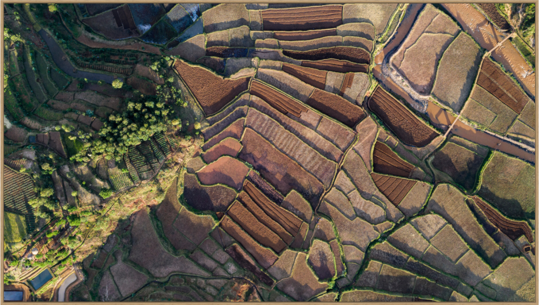 Main image Madagascar