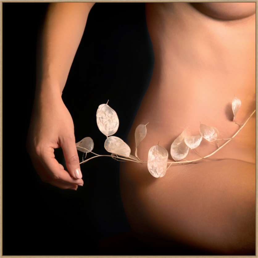 Portrait - physalis