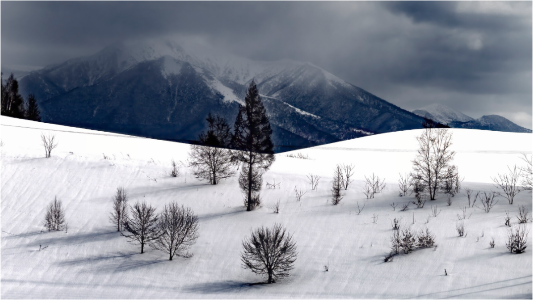 Main image Paysage à Hokkaido