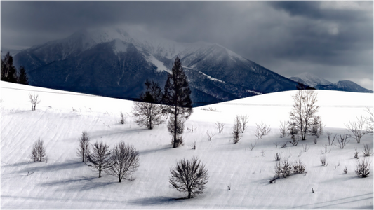 Main image Paysage à Hokkaido
