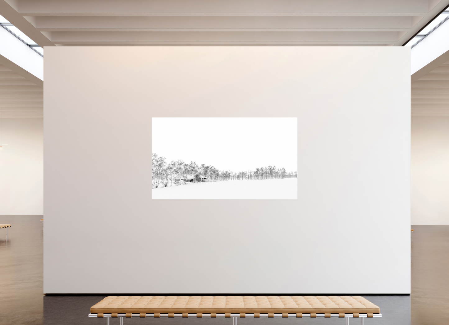 208 x 117 cm, Photo Print Under Acrylic Glass La neige