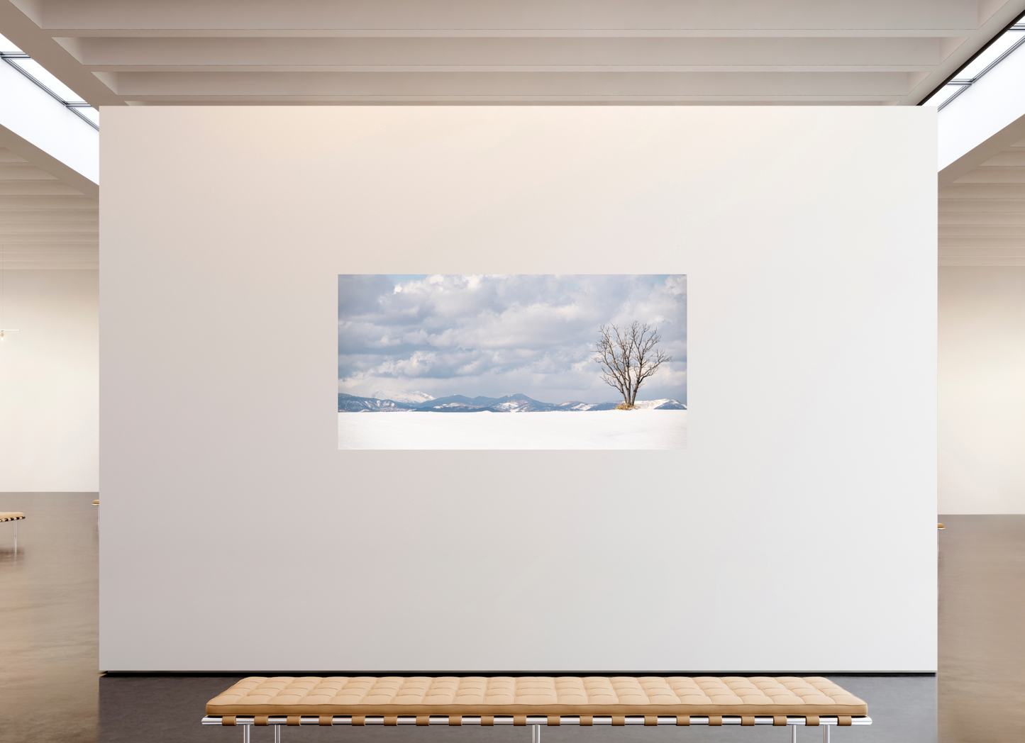 218,9 x 110 cm, Photo Print On Fuji Crystal DP II L'arbre 2