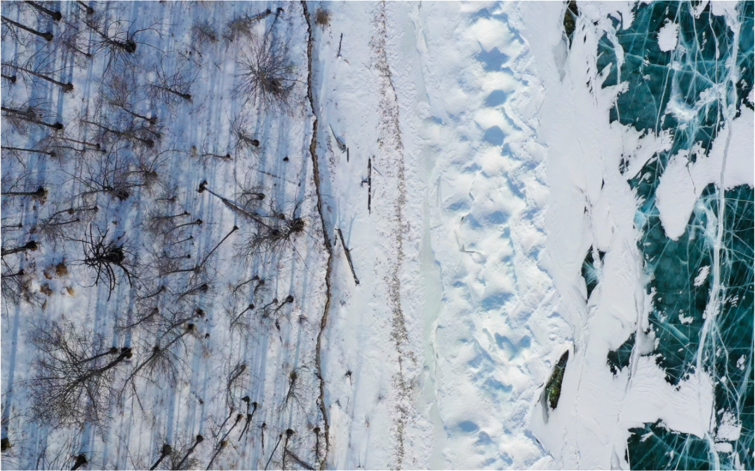 Main image Baïkal - les arbres