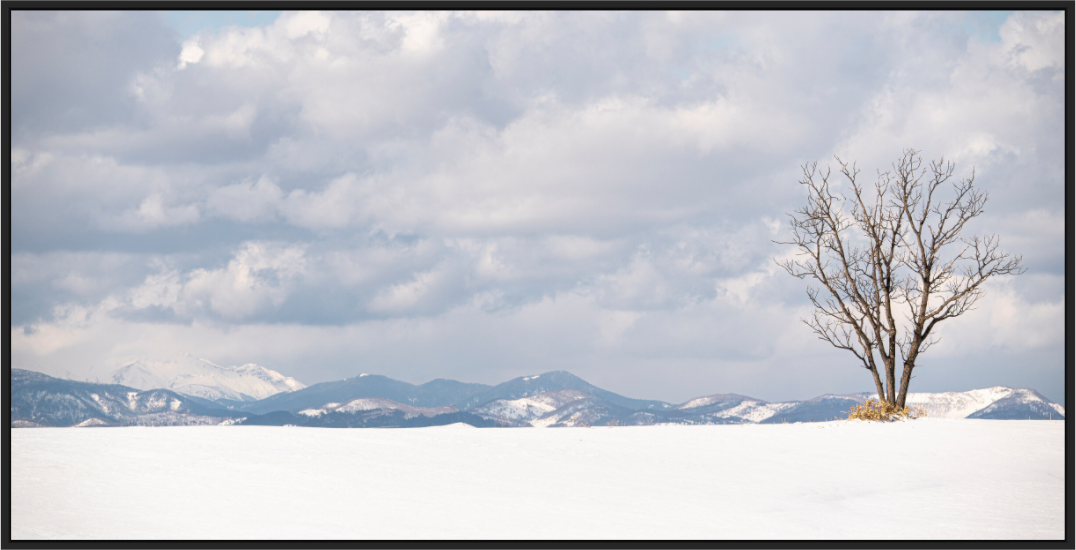 Main image L'arbre 2