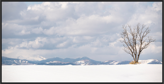 Main image L'arbre 2