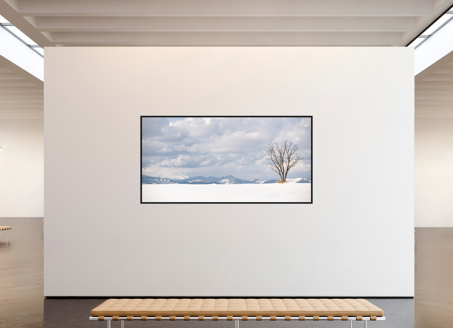 238,8 x 120 cm, Caisse noir mat 15 mm L'arbre 2
