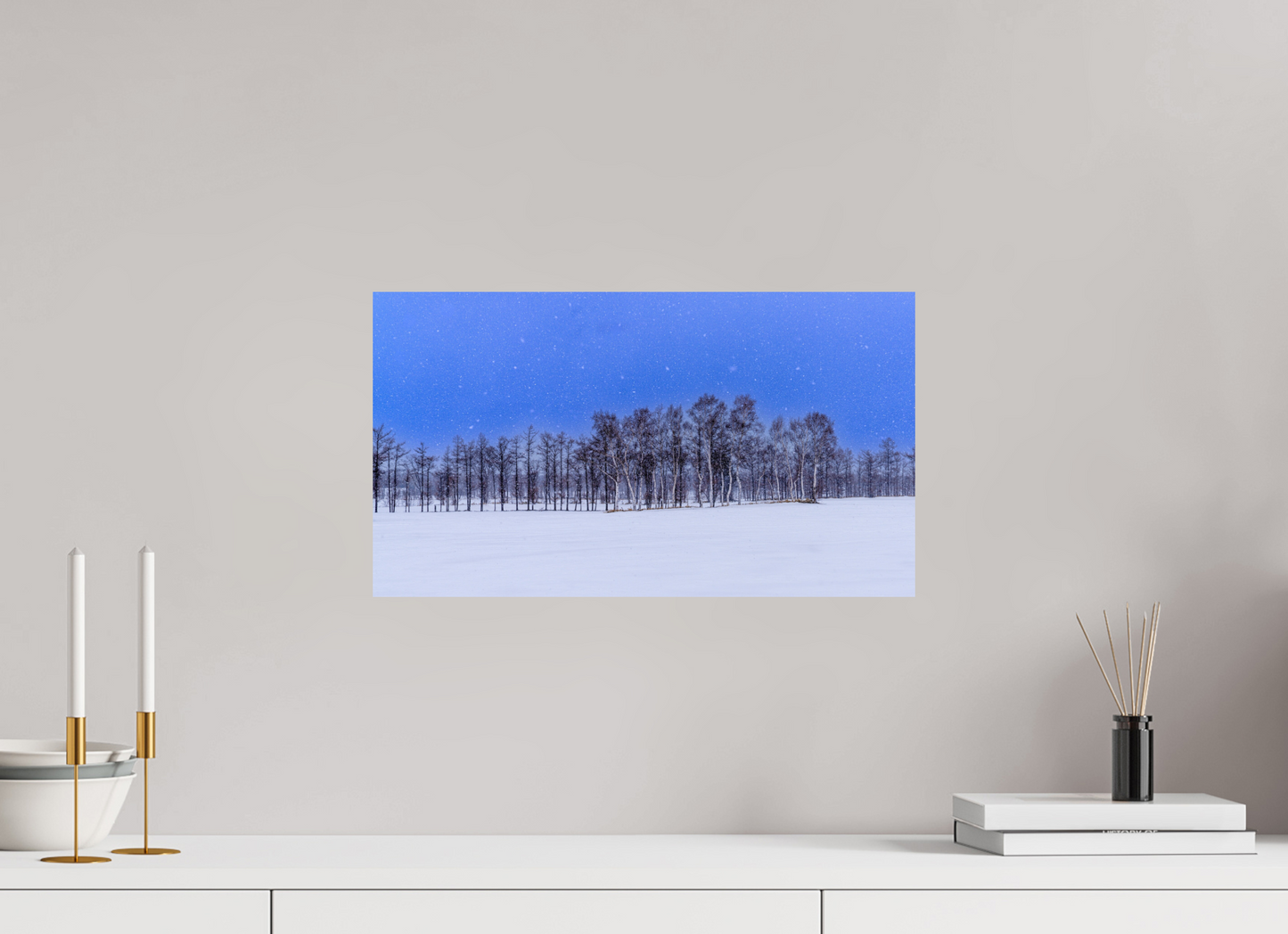 48 x 27 cm, Photo Print On Fuji Crystal DP II Les arbres à Hokkaido